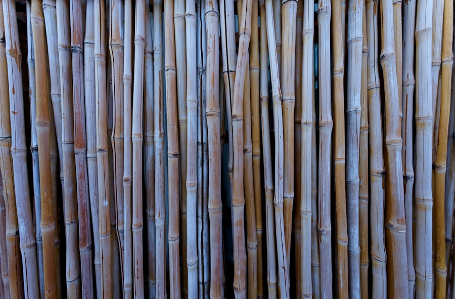 bamboo decor