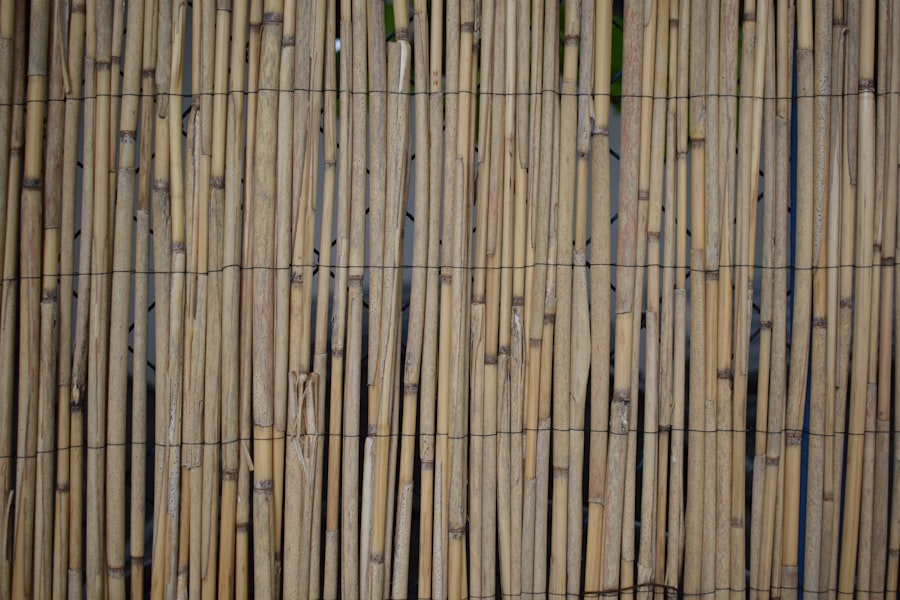 Photo bamboo decor